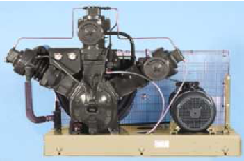 Motore a 4 poli IP55 TEFV Motore a 4 poli IP55 TEFV
